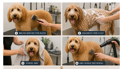 The Doodle Grooming Companion — Stop the Mats Before They Start