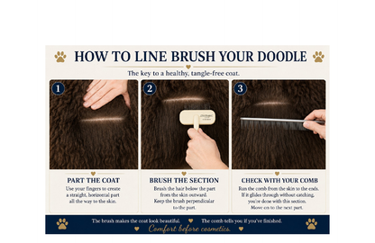 The Doodle Grooming Companion — Stop the Mats Before They Start
