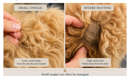 The Doodle Grooming Companion — Stop the Mats Before They Start