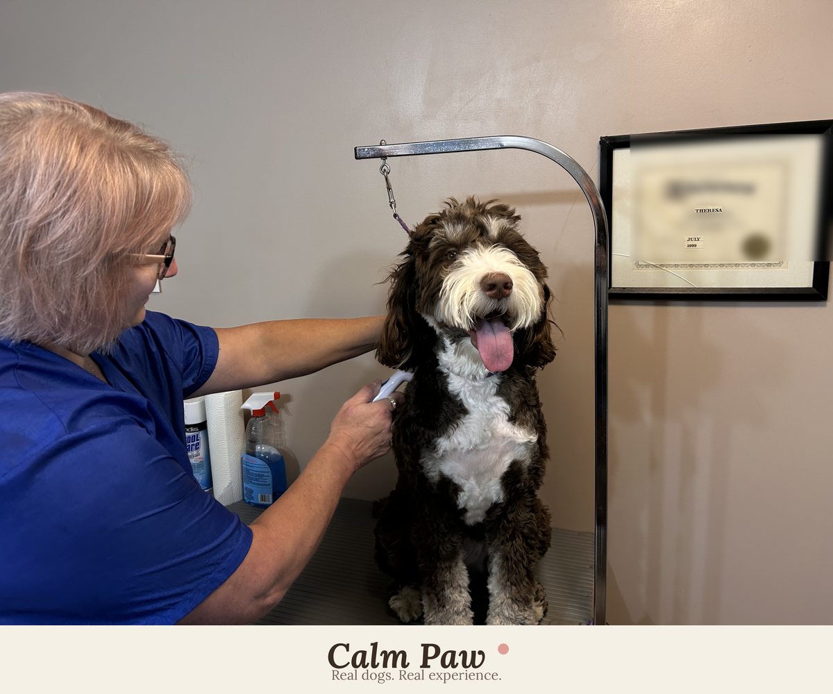 The Calm Doodle Grooming Guide