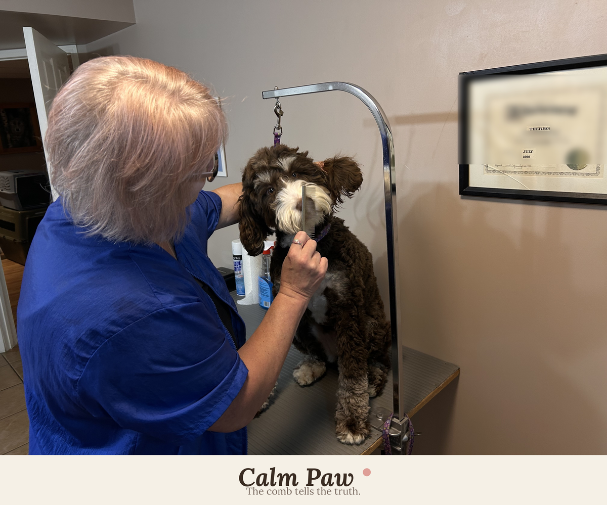 The Calm Doodle Grooming Guide