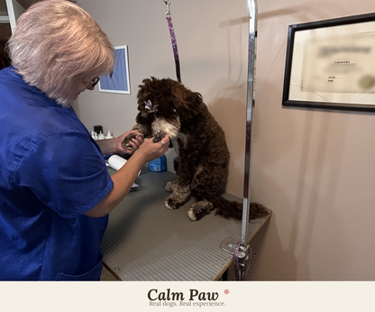 The Stress-Free Nail Trim